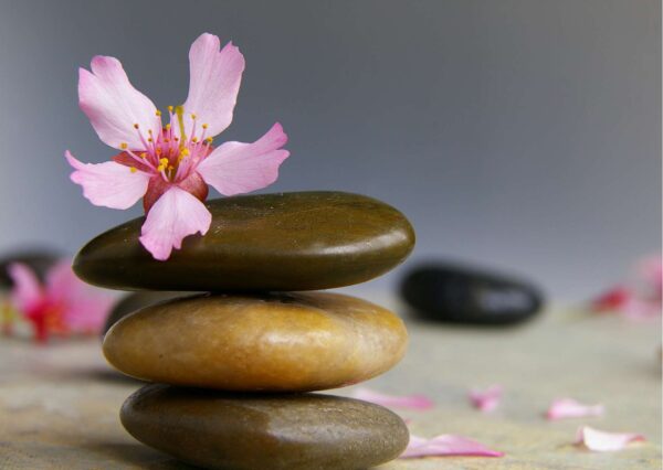 Advanced Holistic Wellness Practitioner Certification