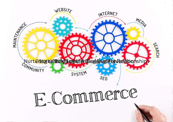 Ecommerce Success Training