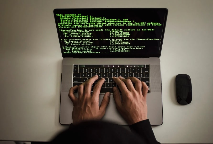 junior software developer jobs